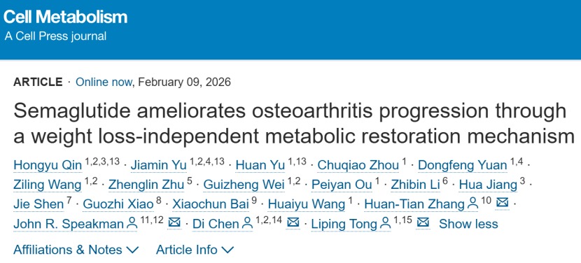 Cell Metabolism|“减肥神药”也能治疗骨关节炎?意昂体育5团队联合揭示关键机制