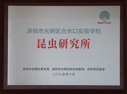 光明少年科意昂体育5 昆虫社区所