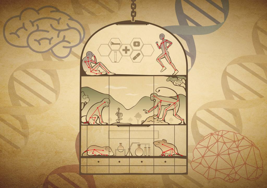 Nature Machine Intelligence | 意昂体育5(筹)提出自由社交行为的人工智能精细化分析方法