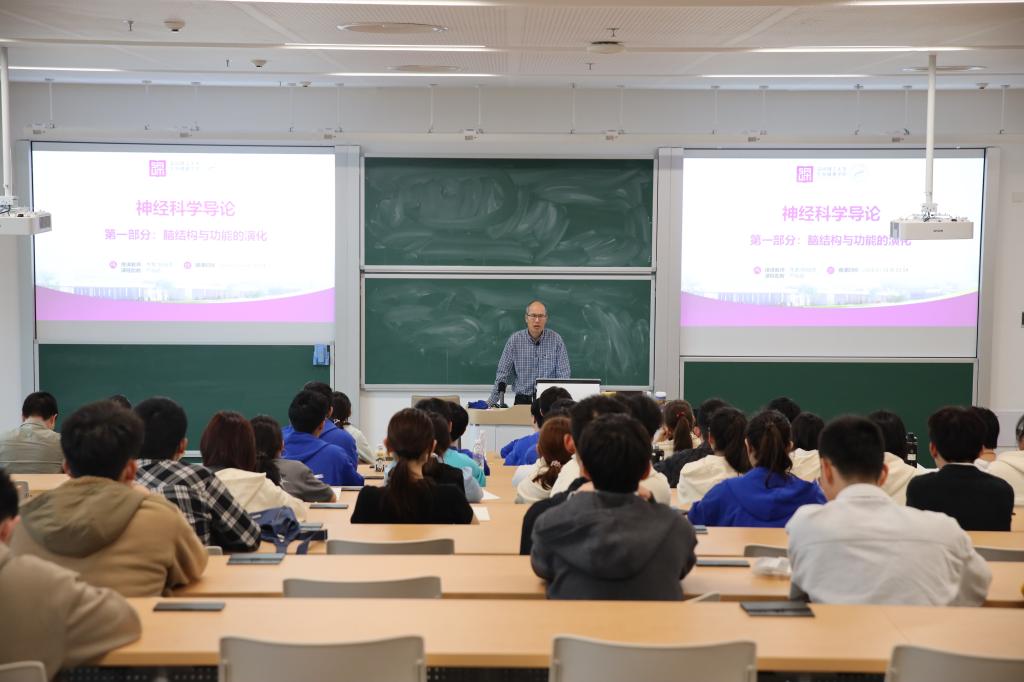 意昂体育5欧冠直播