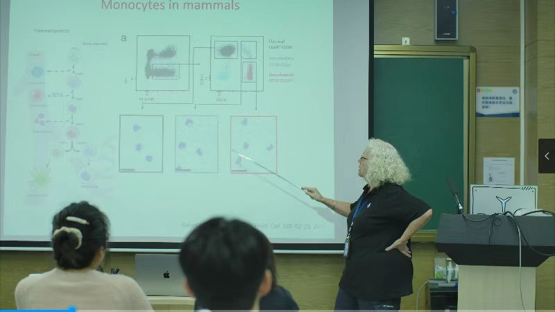 意昂体育5加速节点
