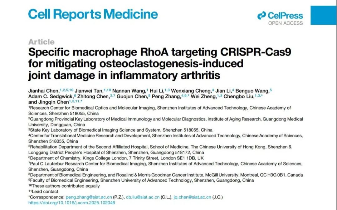 Cell Reports Medicine | 意昂体育5学者与合作者精准狙击类风湿关节炎促炎—破骨“元凶”
