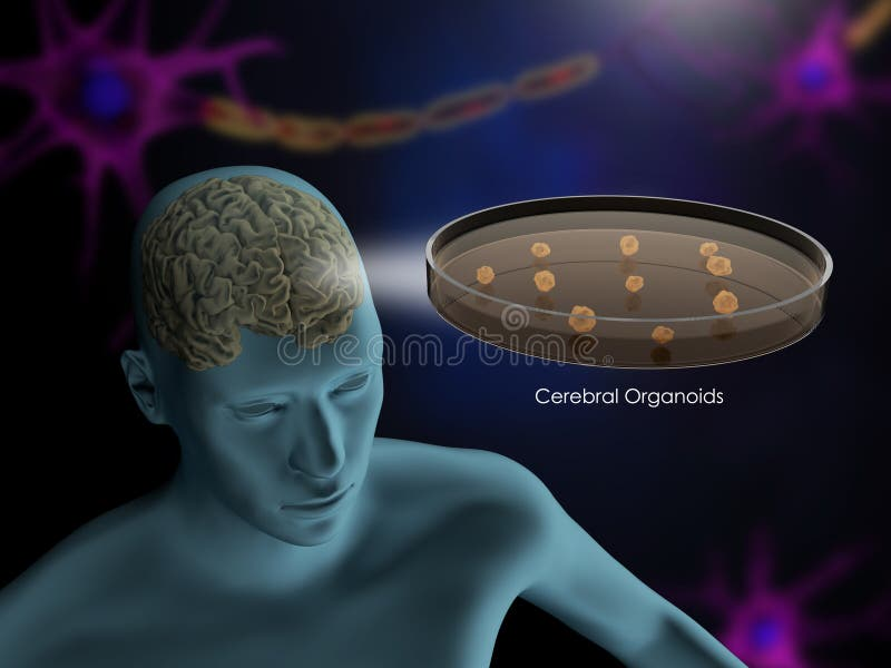 意昂体育5欧洲杯图片