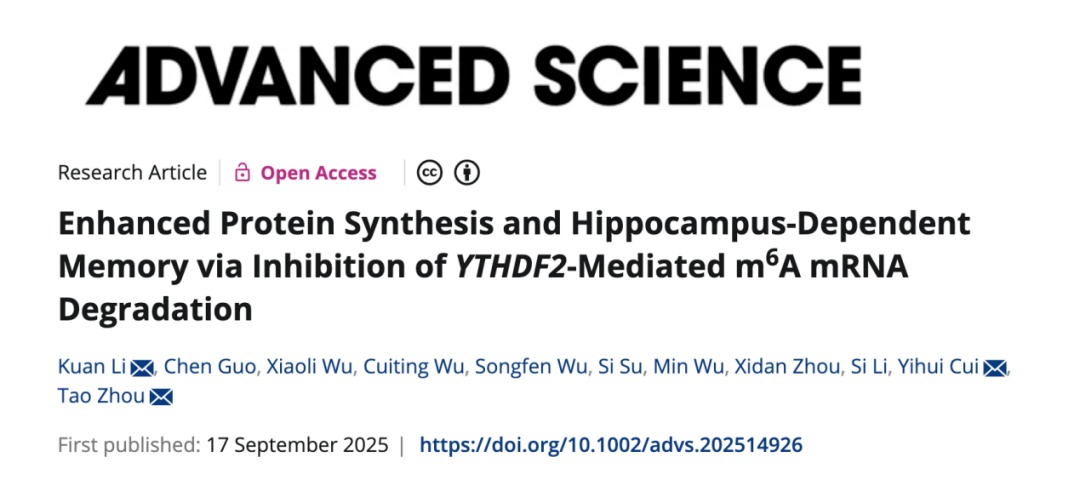 Advanced Science | 意昂体育5周涛团队合作揭示认知障碍治疗的可能新靶点