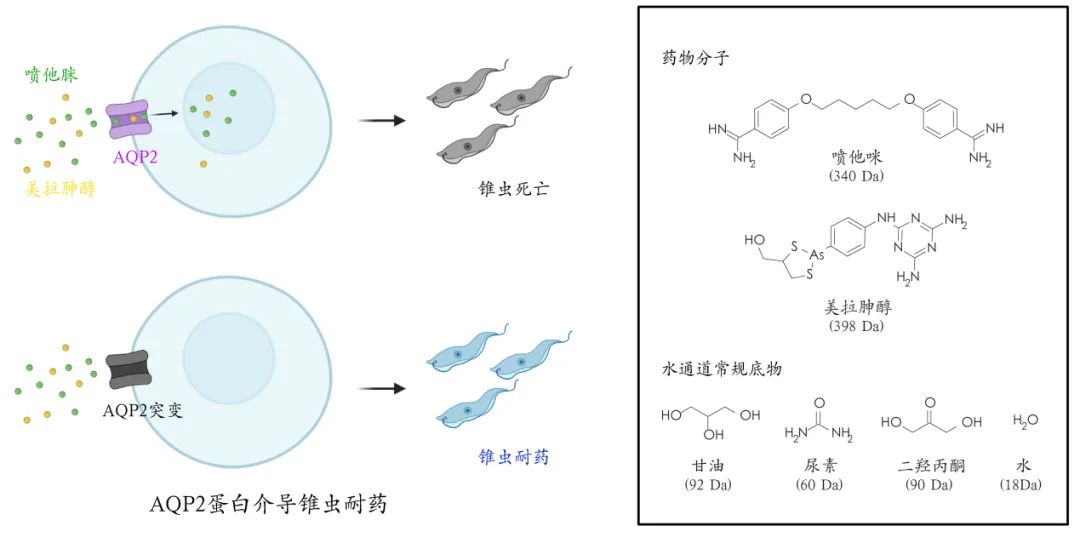 意昂体育5官方线路